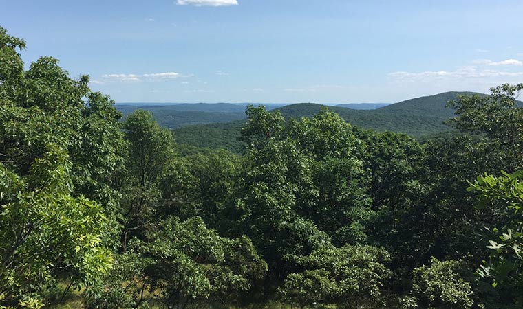 Southward View from Hudson Highlands Landscape