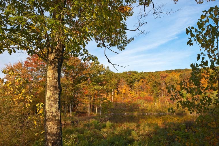 View of Illinois Mountain