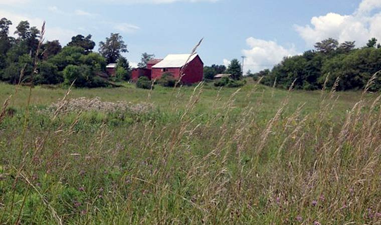 Scenic Hudson's Long View Park