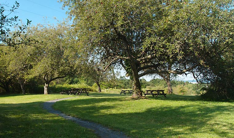 Peach Hill Park