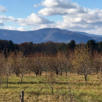 Potts Farm