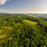 Ridgetop Forest