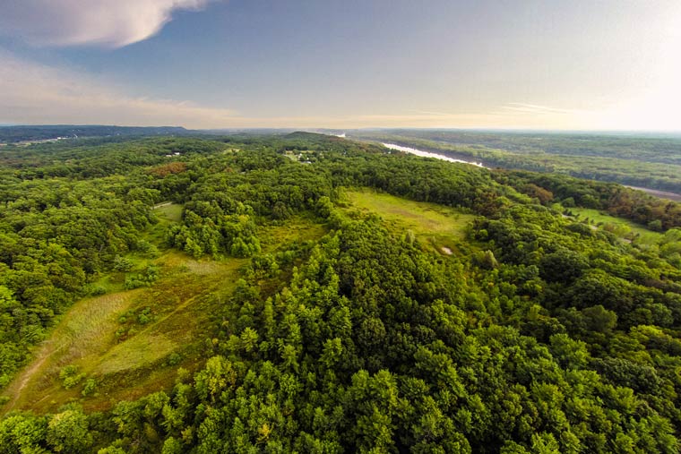 Ridgetop Forest