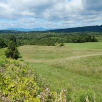 Wyda Farm