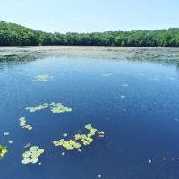 Wonder Lake