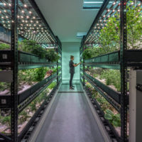 Farm One
