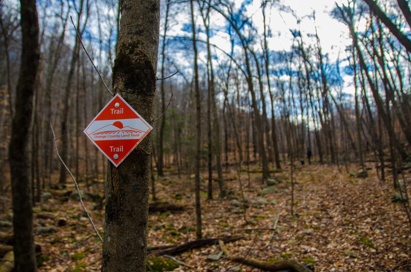 Fuller Mountain Preserve