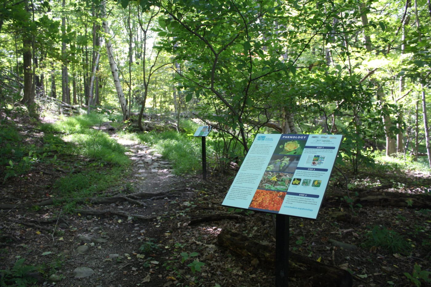 Esopus Meadows Preserve