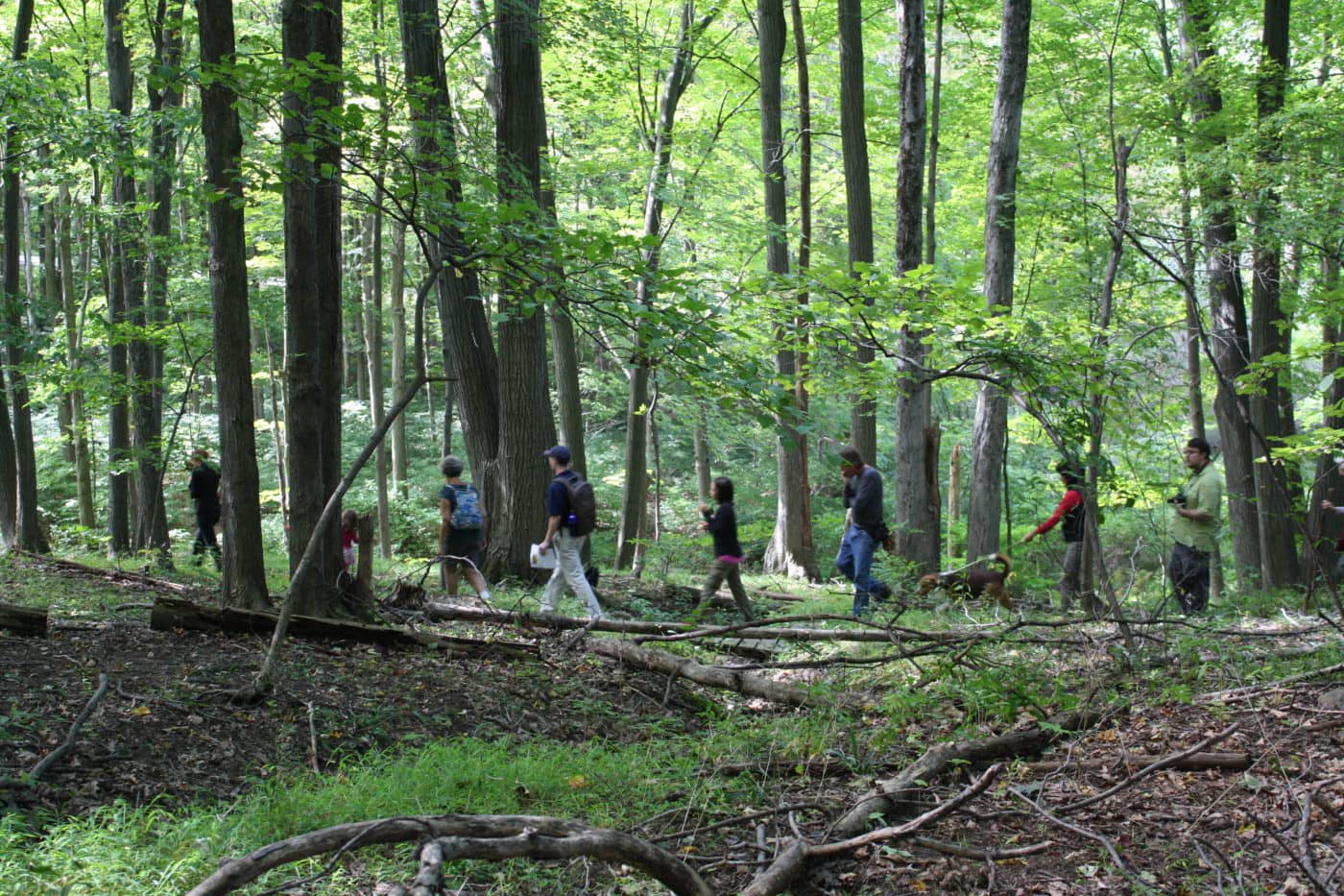 Esopus Meadows Preserve