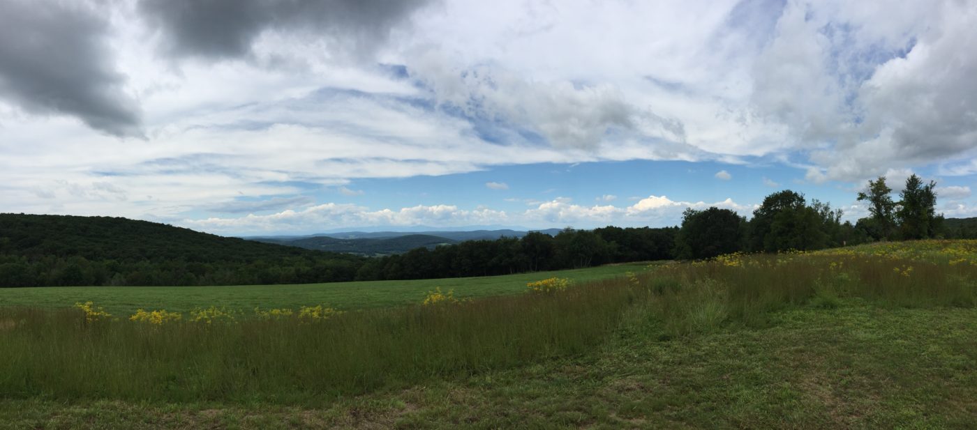 Overmountain Conservation Area (Photo: Columbia Land Conservancy)