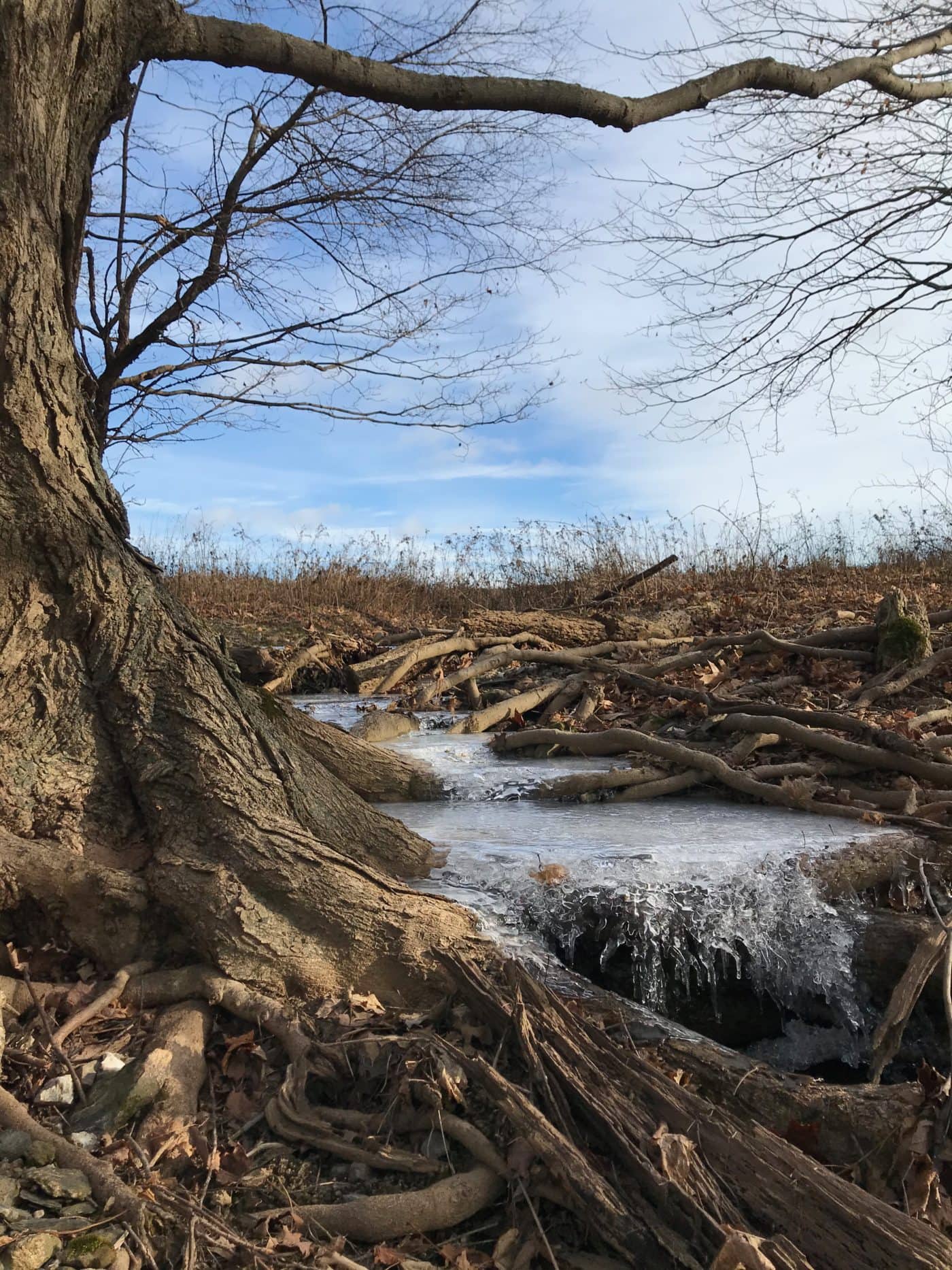 Overmountain Conservation Area