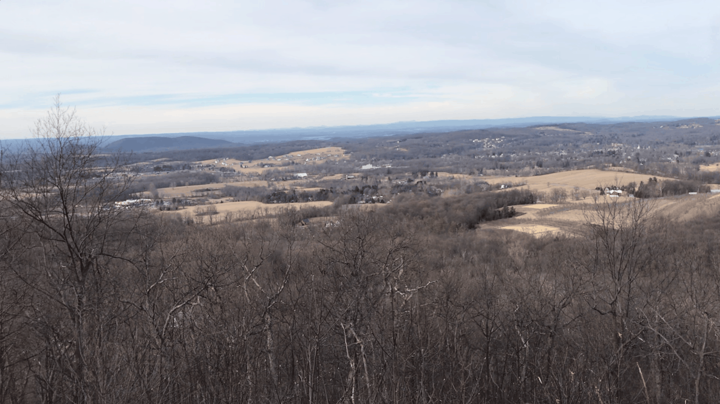 Fuller Mountain Preserve