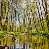 Fuller Mountain Preserve