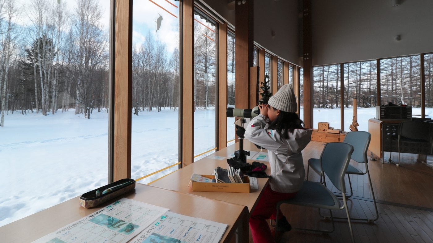 Bird Watching from Indoors (Photo: MIKI Yoshihito on Flickr)