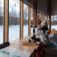 Bird Watching from Indoors (Photo: MIKI Yoshihito on Flickr)