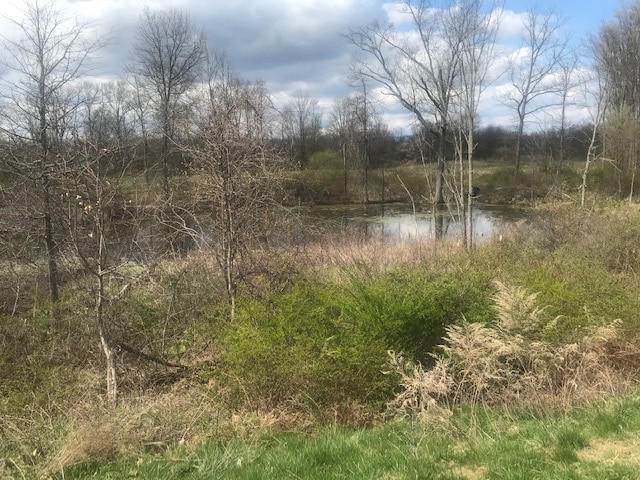 Current Site of Mastodon Dig, Montgomery, NY