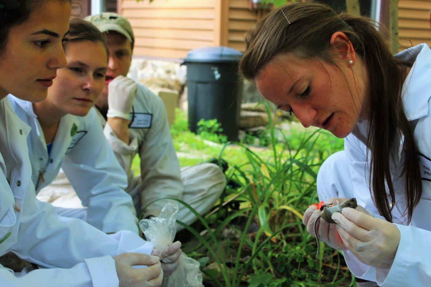 Cary Institute Staff Scientists