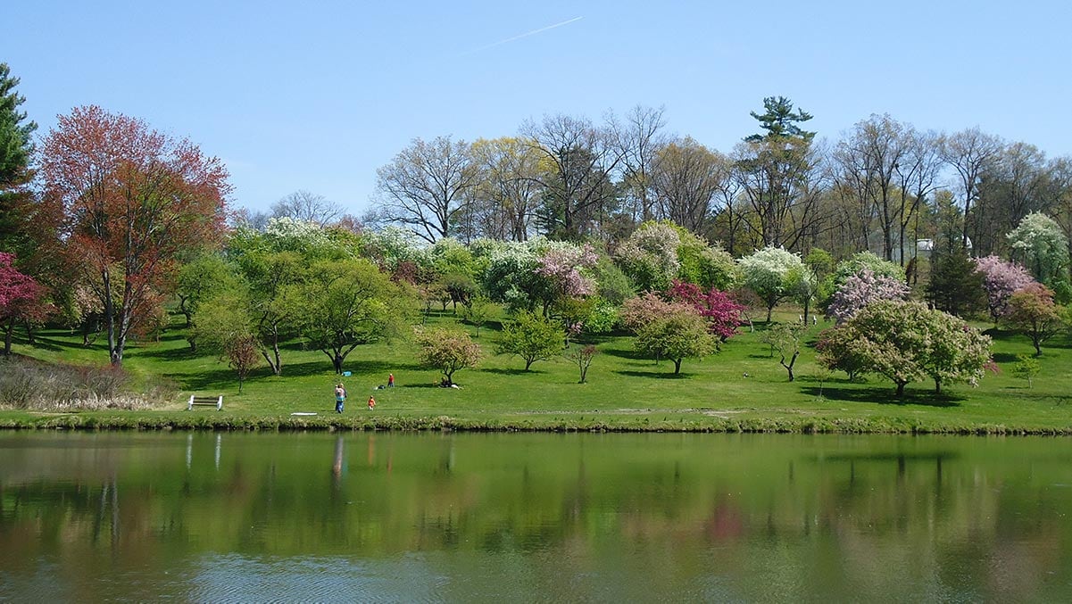 Vassar College Springtime