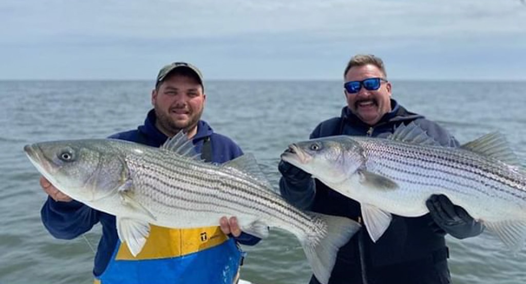 Striped Bass Fishing Hudson River 