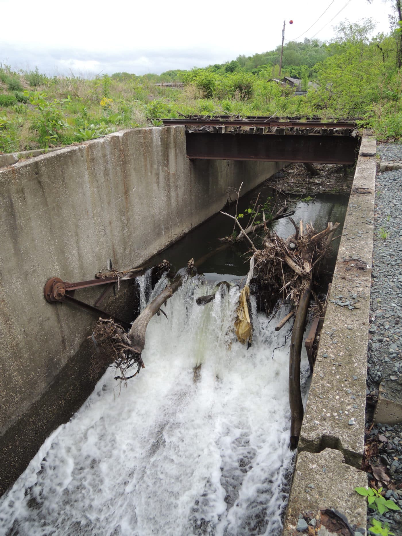 Wynants Kill First Dam