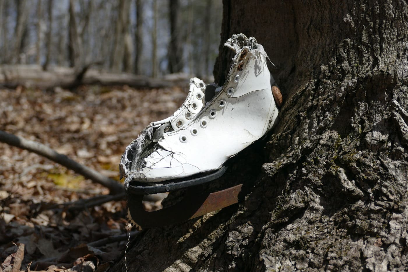 Ice Skate in Tree