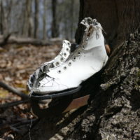 Ice Skate in Tree