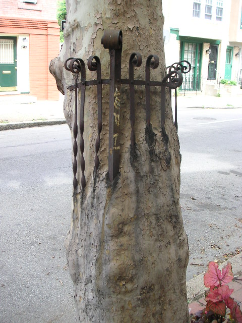 Metal Gate in Tree