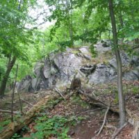 Fort Hill Park