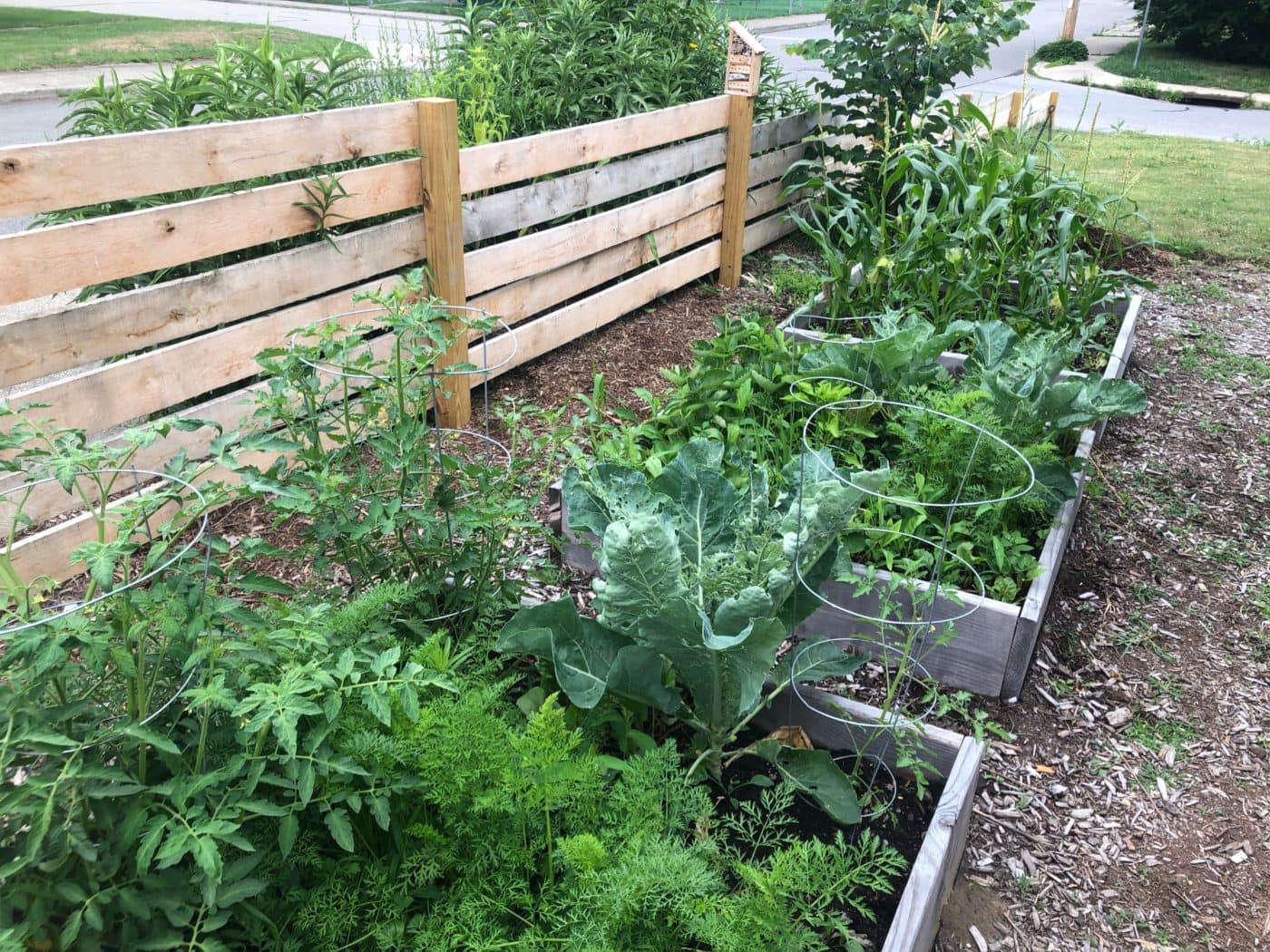 Solarpunk Movement Seeds Climate Hope in the Valley - Scenic Hudson