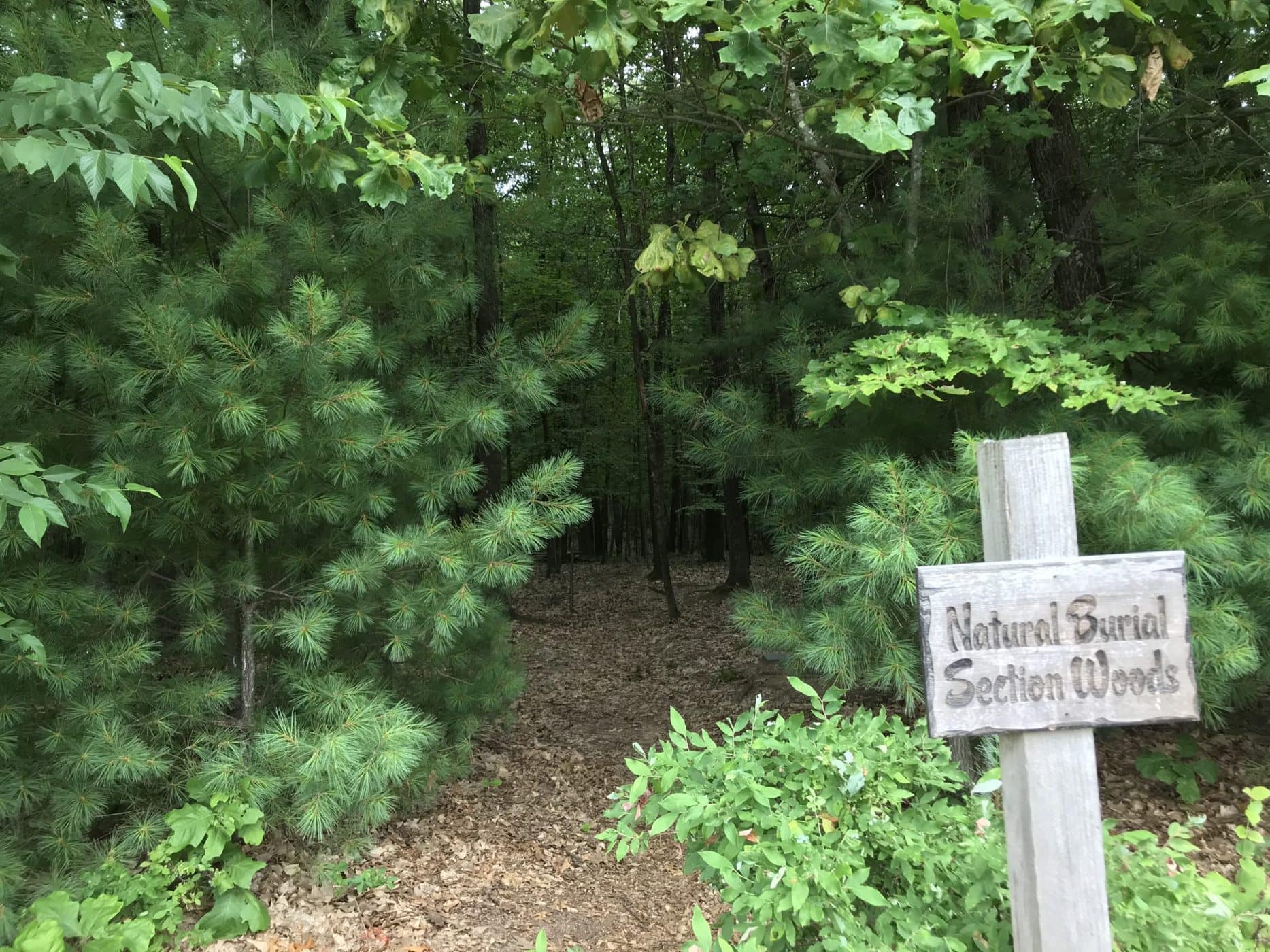 Green Burial A Growing Option in the HV Scenic Hudson