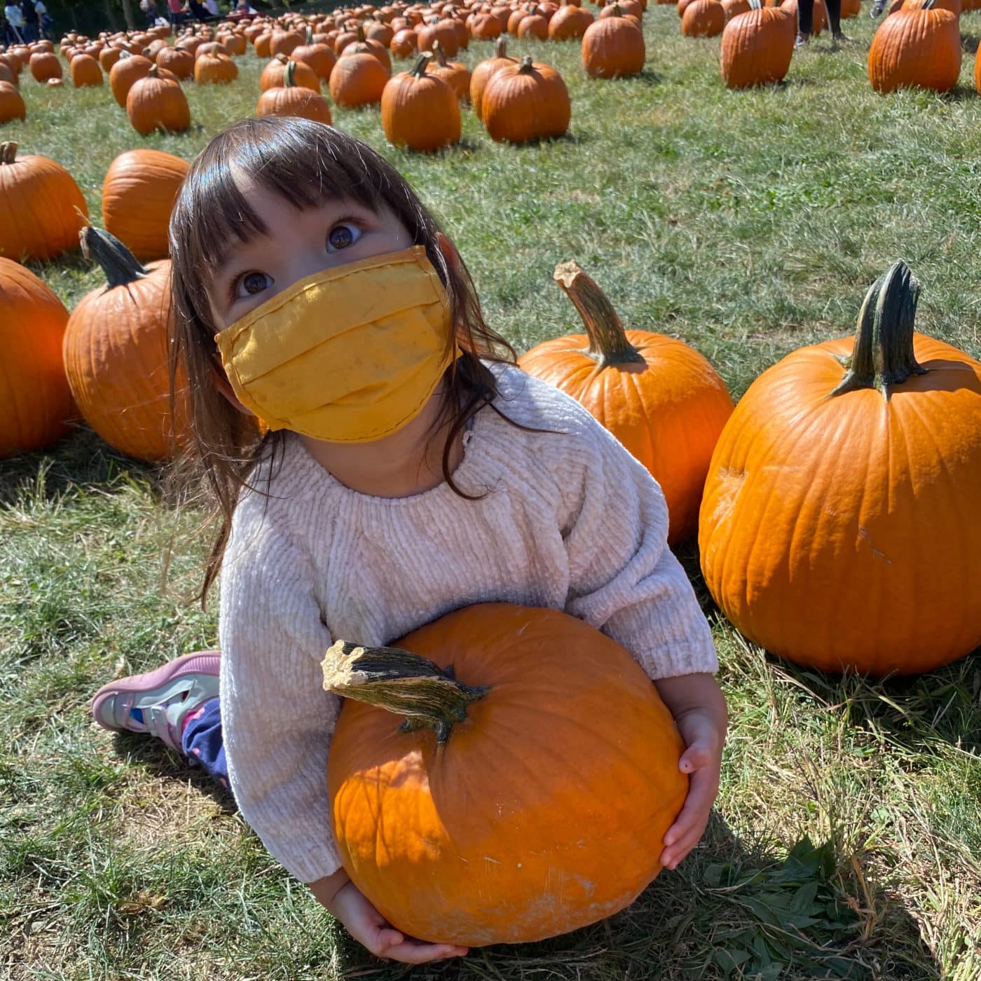 Pumpkin Patch at Dubois Farms