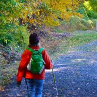 The back of a hiker in a bright red coat. To their left is yellow fall foliage.