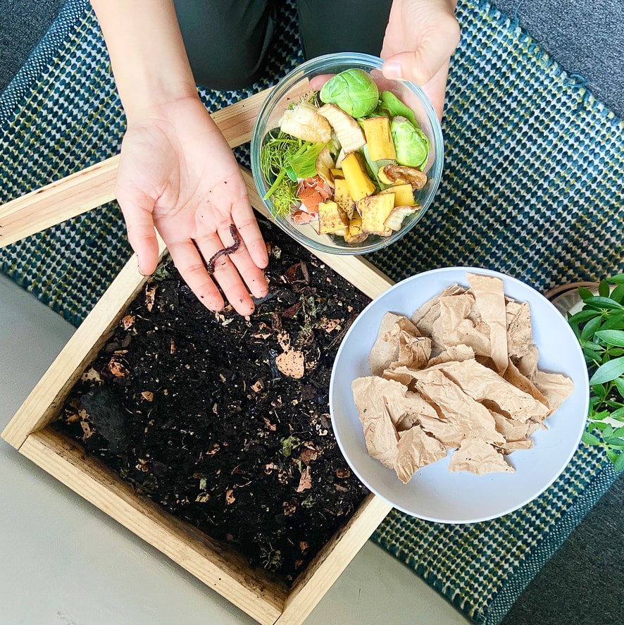 Compostable Food Bowl With Lid-Go-Compost