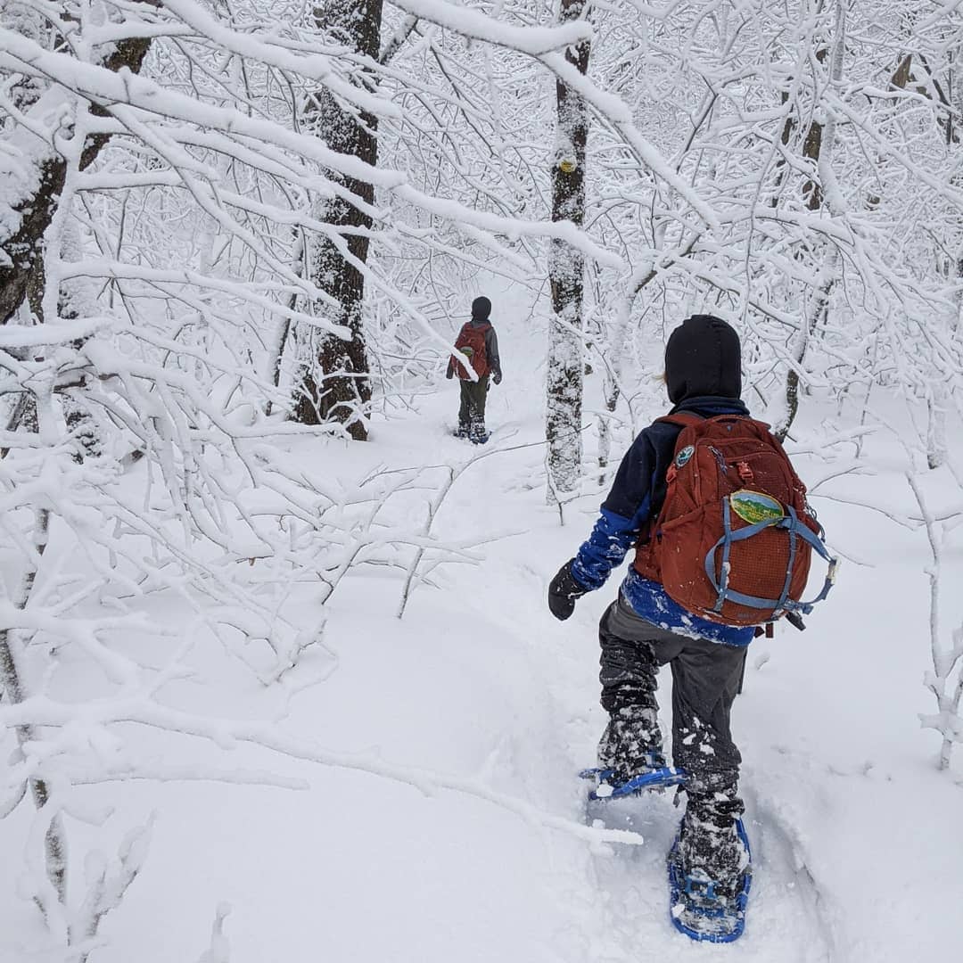 Catskill Mountains (Photo: @mountainmama_amk)