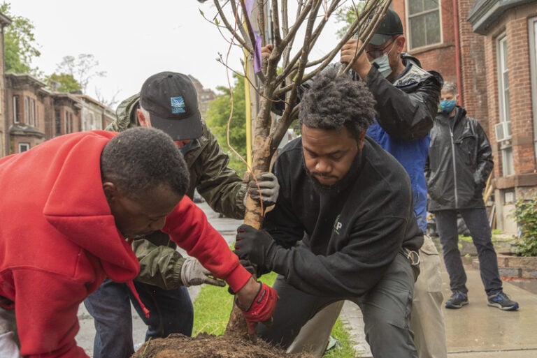 Newburgh StreetTree Planting Aims to Restore the City's Healthy, Shady