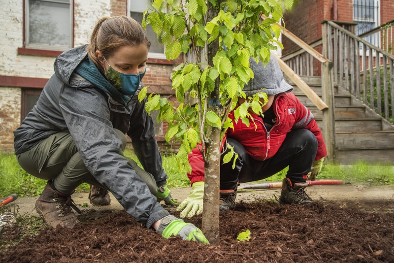 Planting Street Trees in Newburgh