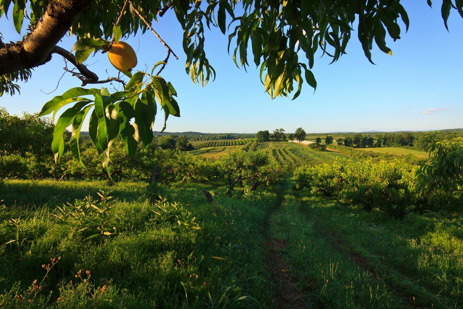 Land worth preserving