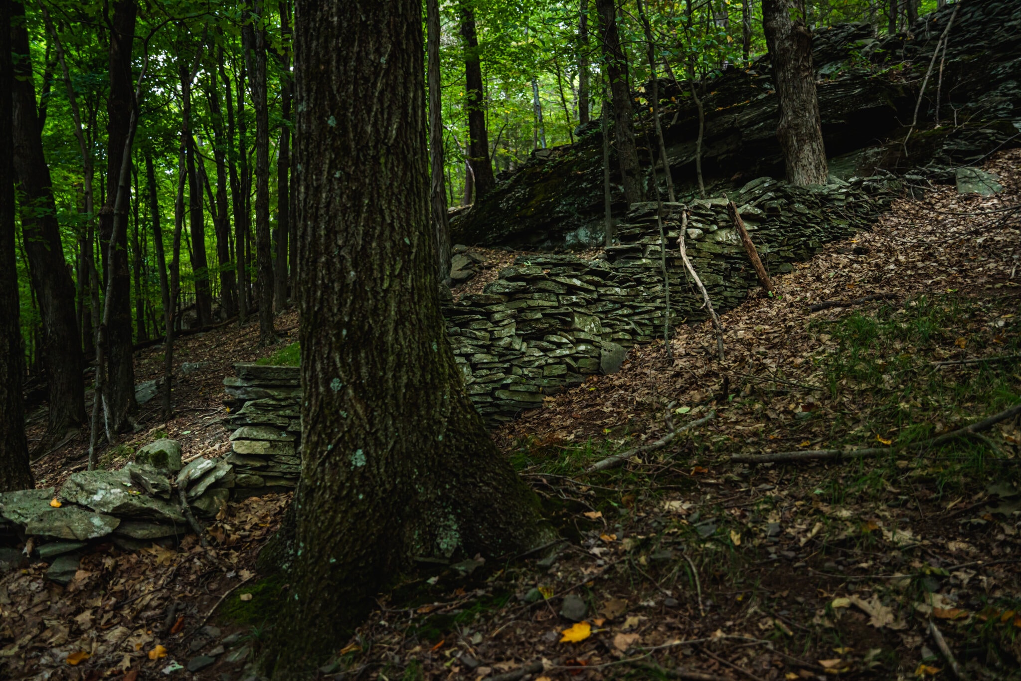 Connecting With the Valley's IndigenousSpirited Ceremonial Stone Landscapes Scenic Hudson