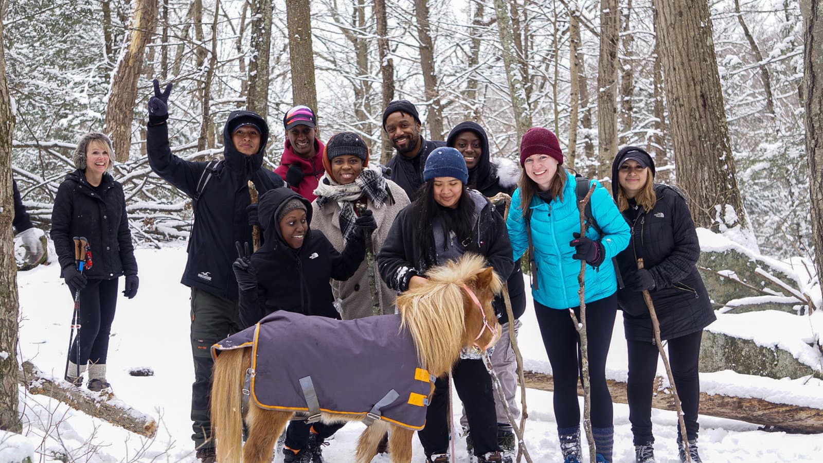 The Top 10 Favorite Viewfinder Stories of 2023 Scenic Hudson