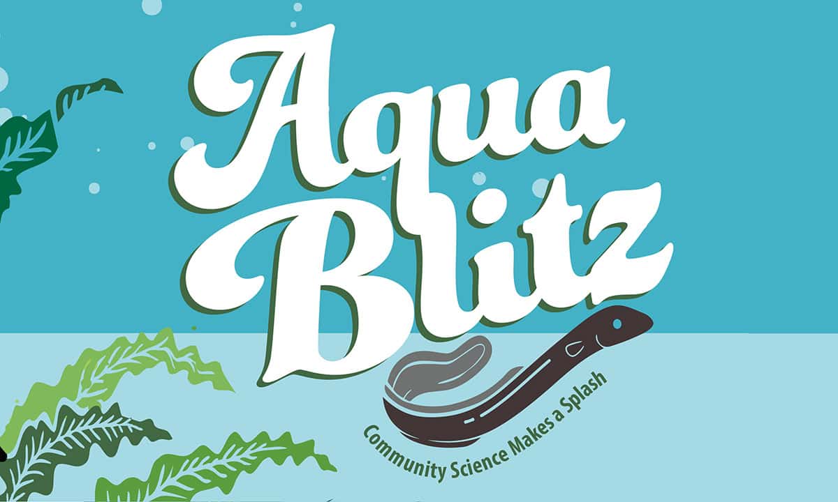 Get your hands wet at a local AquaBlitz event in your area!