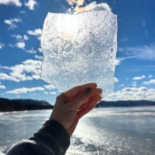 Image: Debbie Boerke