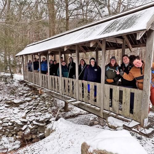 Image: Alexa Rosales / BLHC