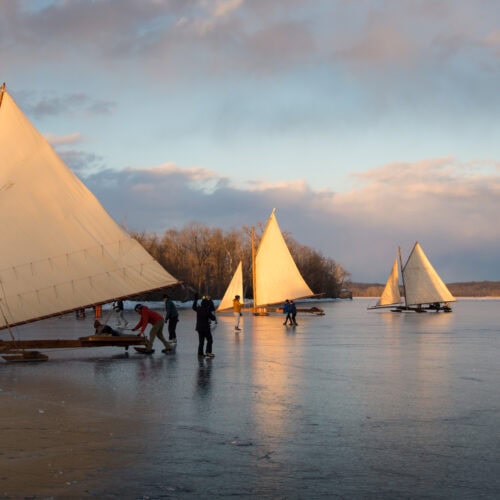 Image: Julian Diamond