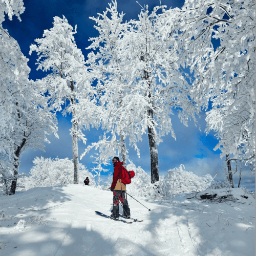 Image: Stephanie Barnhart