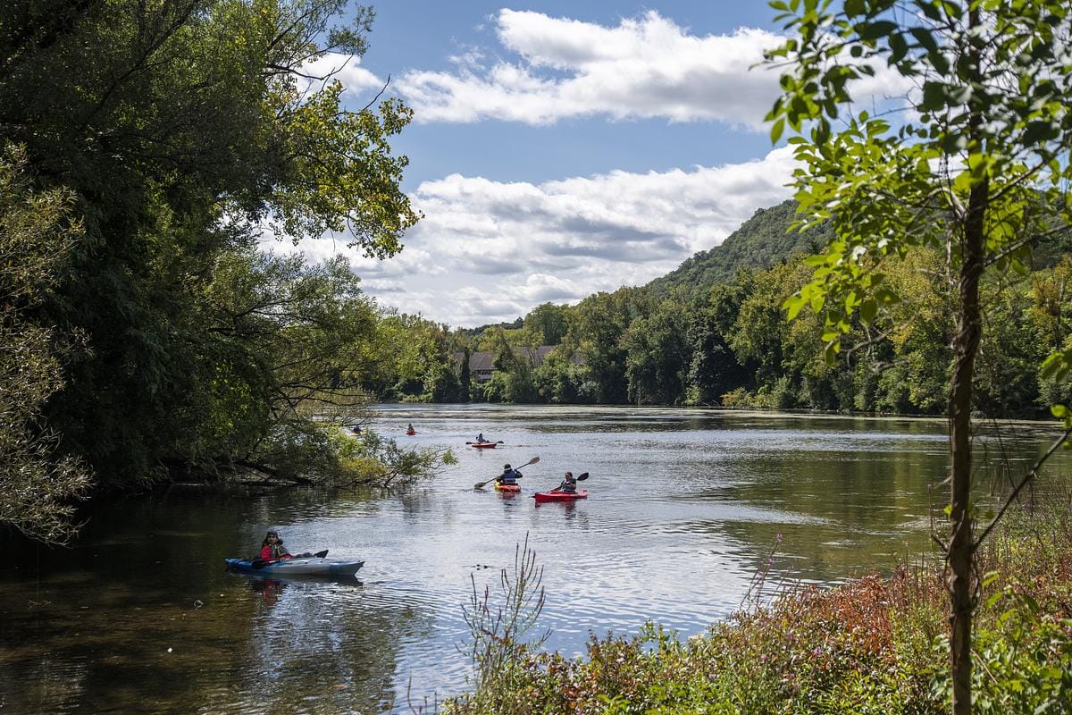 Creekfest (Image: Tyler Blodgett)