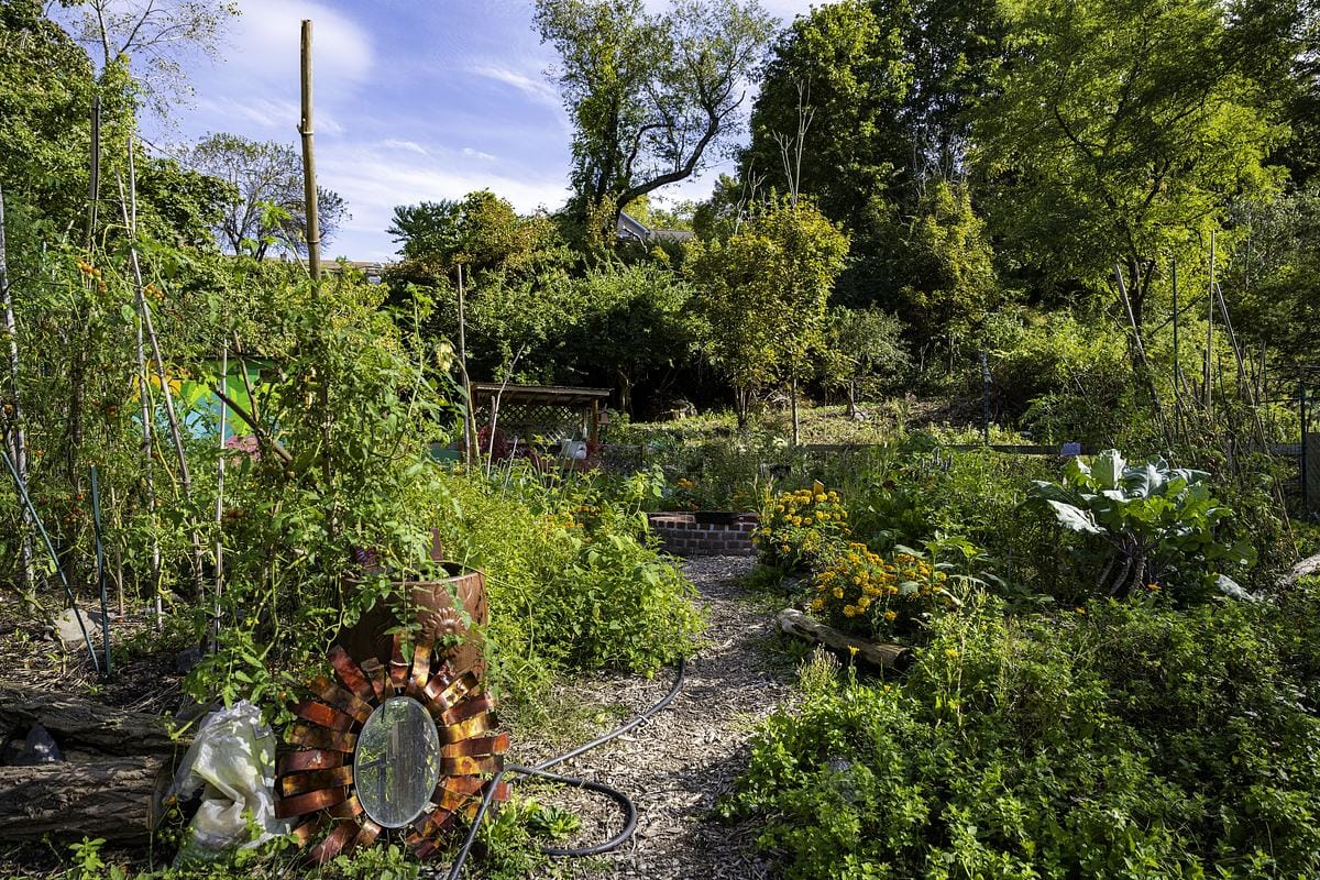 Sanctuary Healing Garden at Crystal Lake (Image: Pierce Johnston)