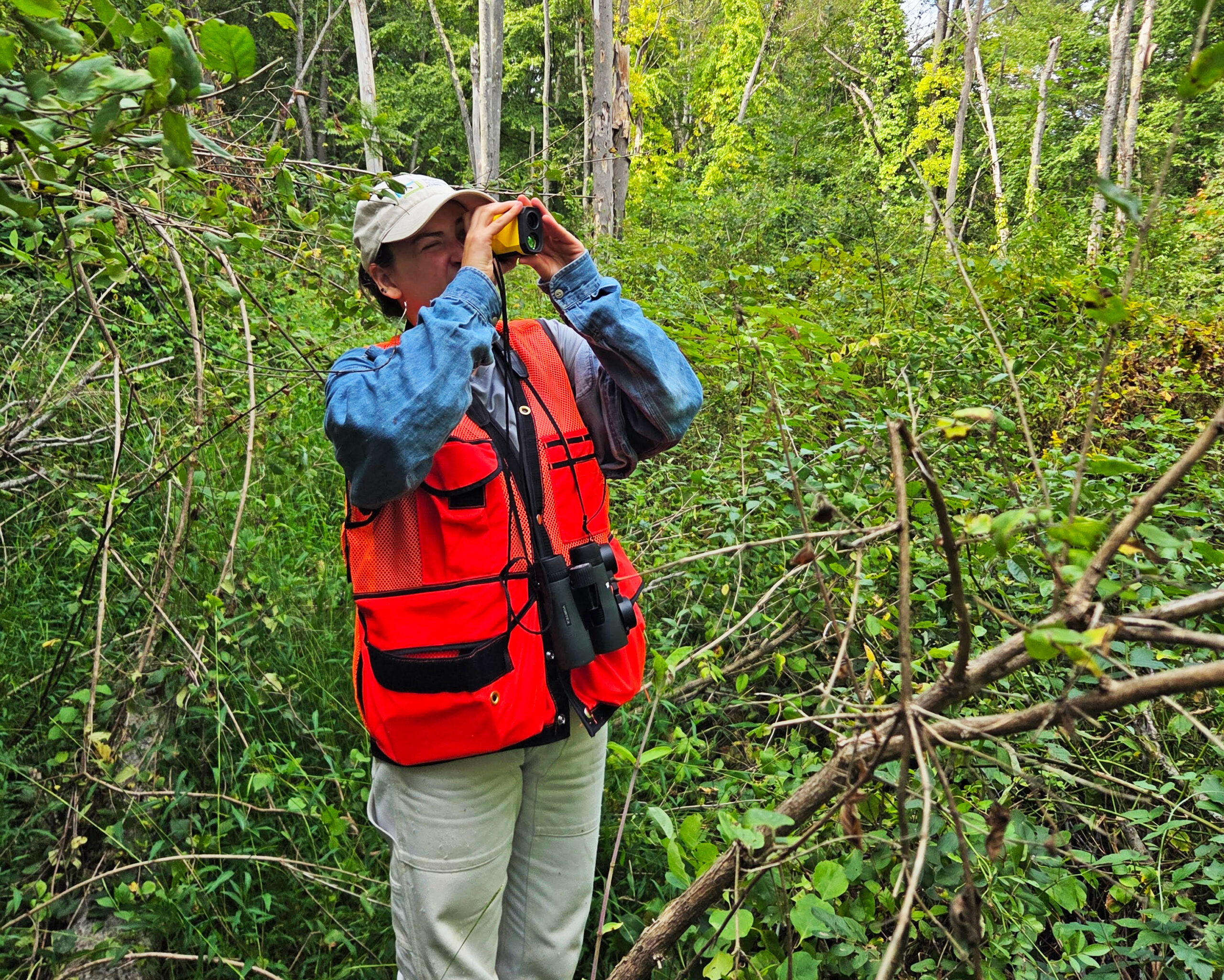 Scenic Hudson staff collecting data on forest carbon. (Image: Pia Ruisi-Besares)