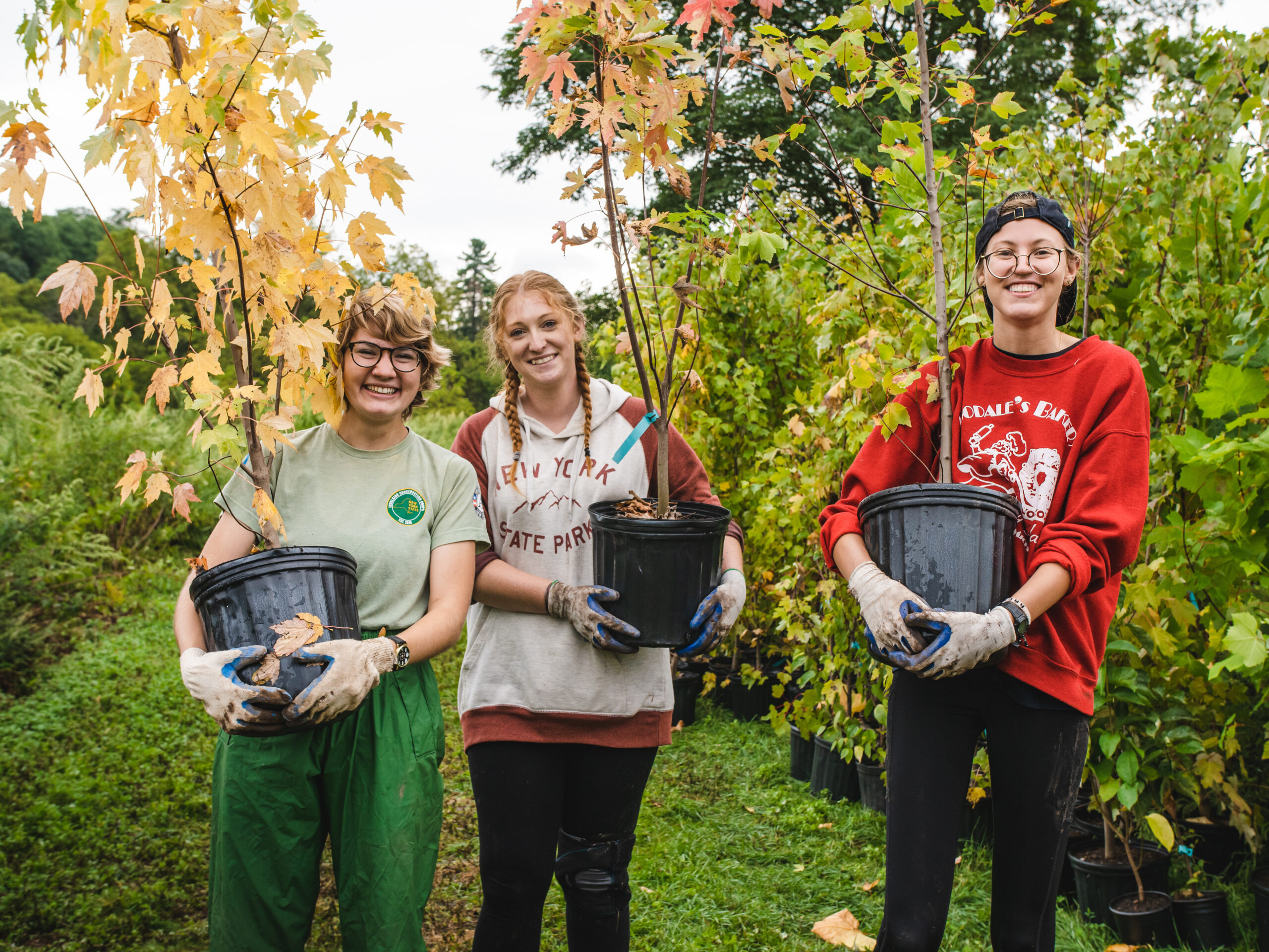 Volunteers at a tree planting event. (Image: Jeff Mertz)