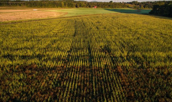 Hudson Valley Farmland (Photo: Robert Rodriguez, Jr.)