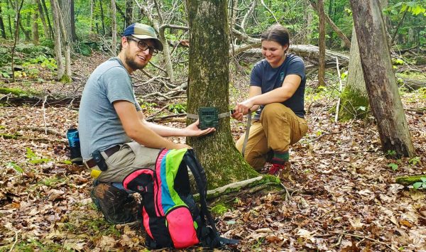 Scenic Hudson staff set up a wildlife camera to monitor deer populations. (Image: Alex Wolf)